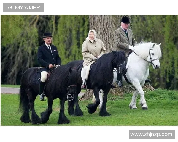 伯顿与女王训游的精彩对决揭示了骑马运动的魅力与挑战
