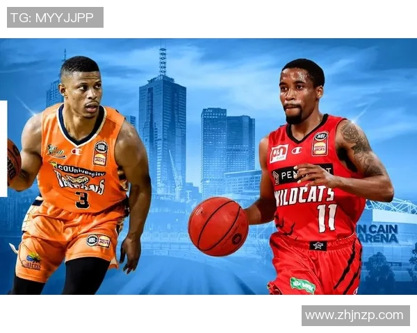 波斯野猫与坎斯大班的精彩对决与生存智慧探讨